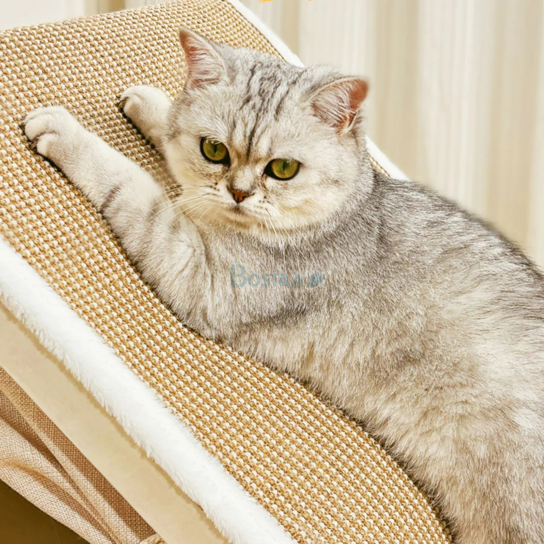 Nordisk kattvilla med Stilren design och Inbyggd Klösbräda